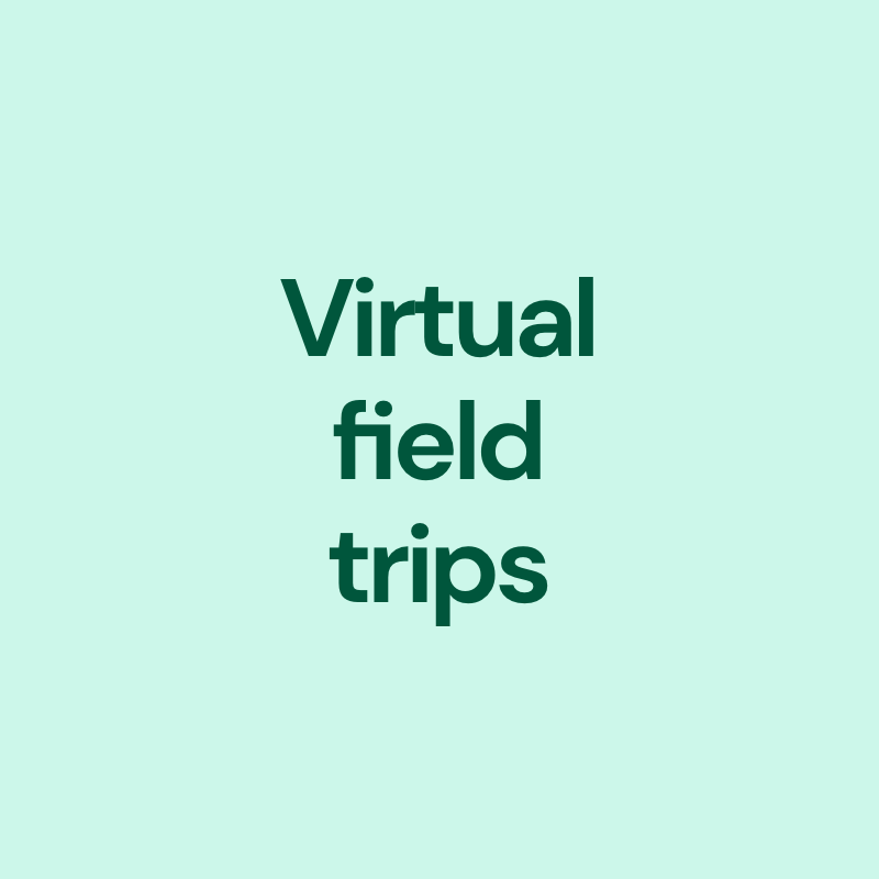 Virtual feild trips-1
